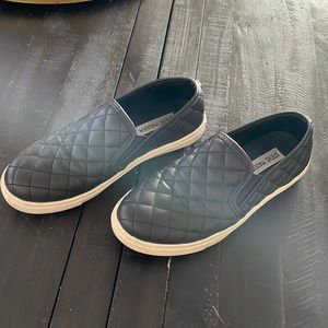 Steve Madden Ecentrcq sneakers